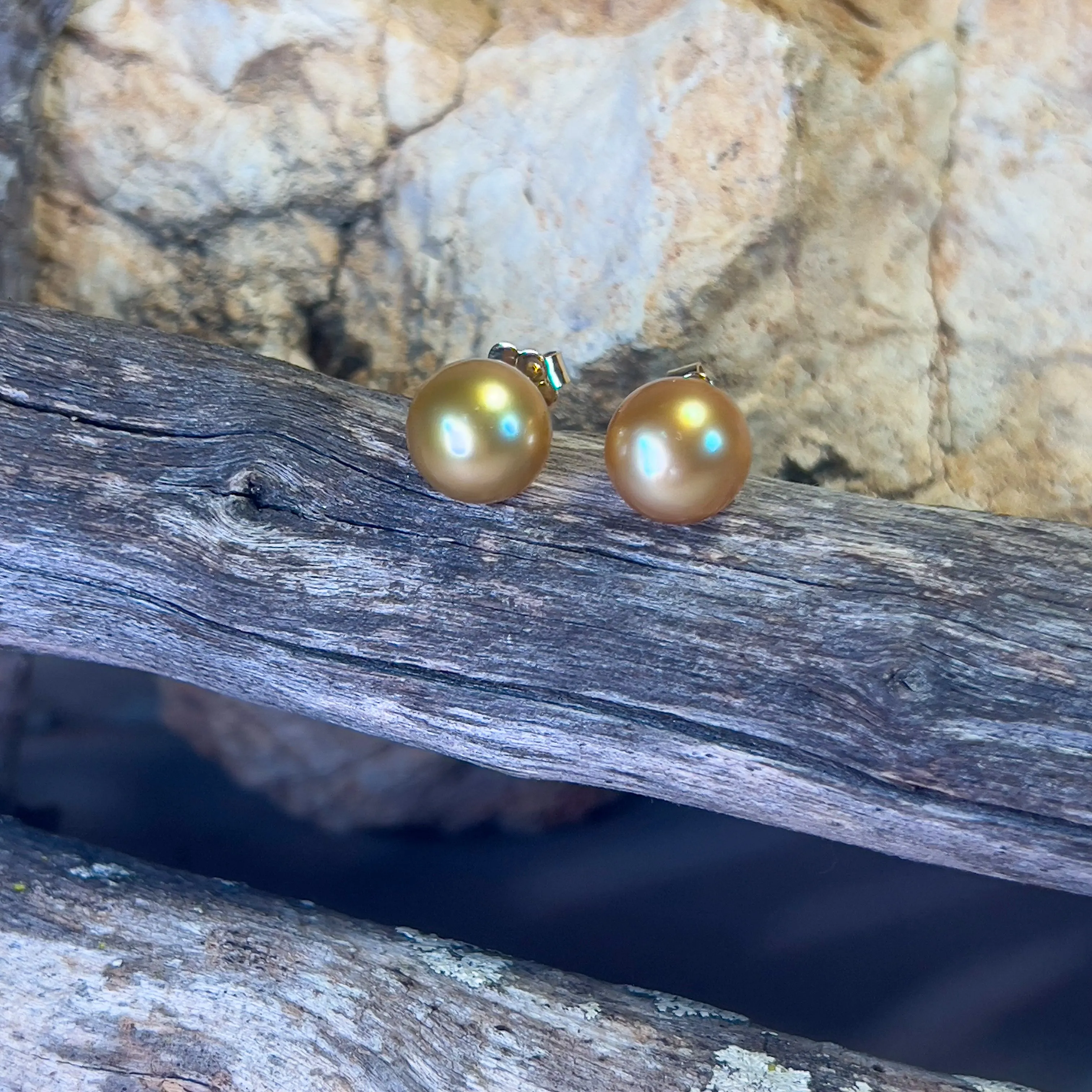 18kt Yellow Gold Golden South Sea Pearl 10mm studs