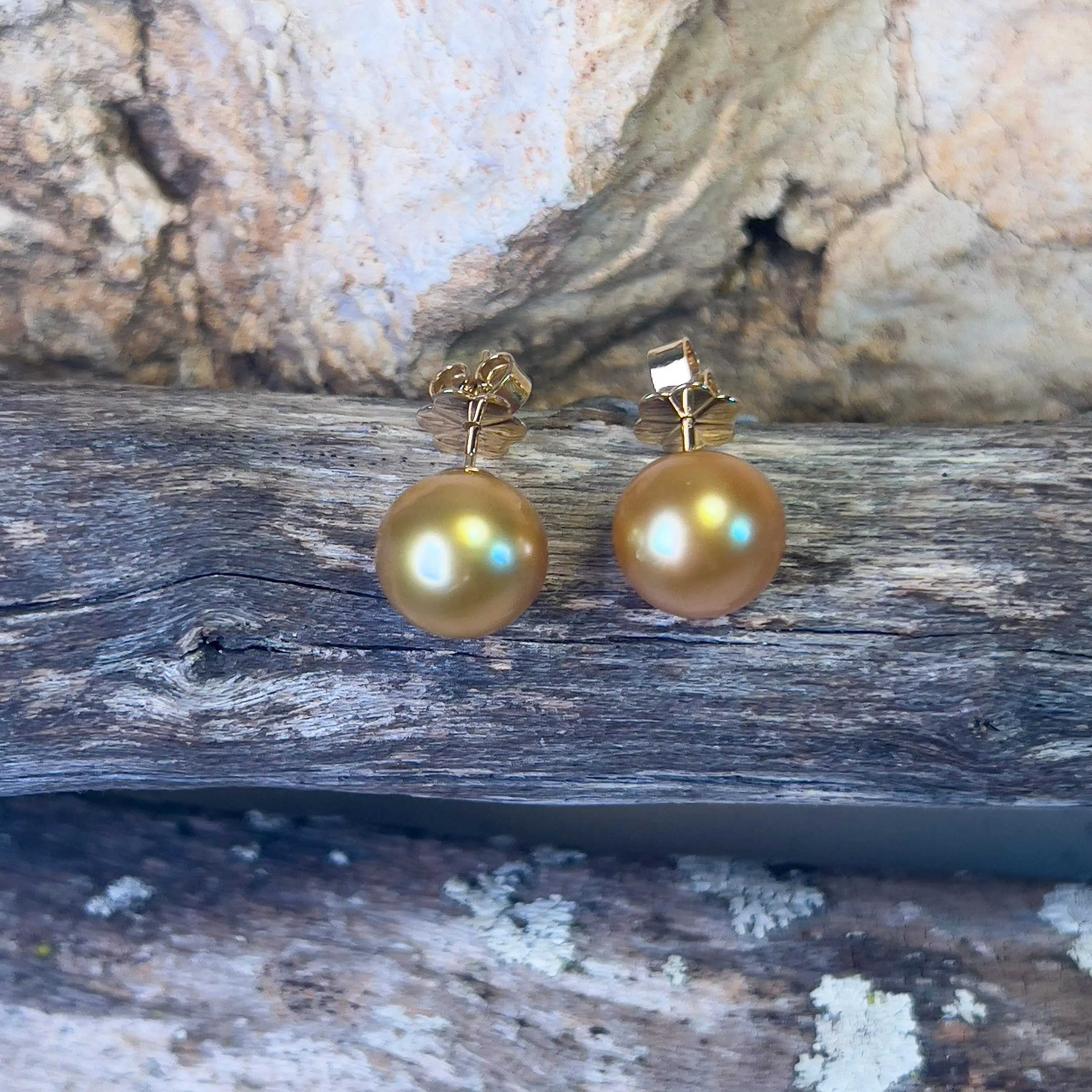 18kt Yellow Gold Golden South Sea Pearl 10mm studs