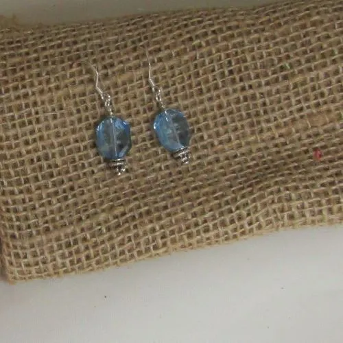 Swarovski Crystal Earrings Delicate